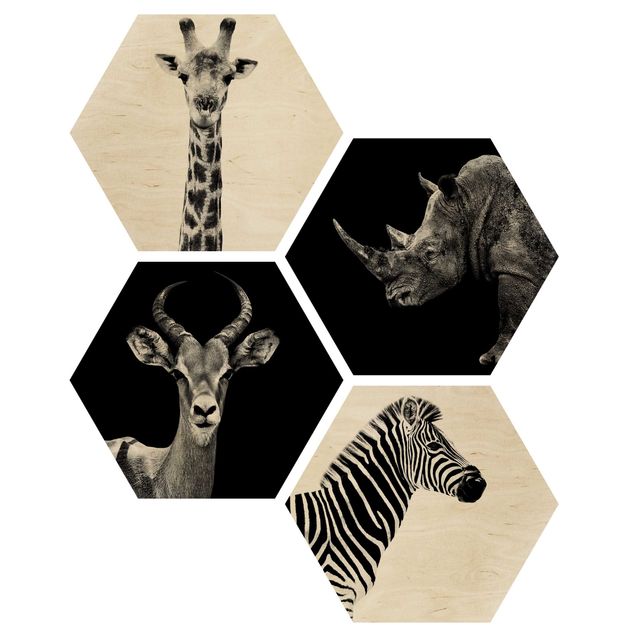Hexagone en bois - Safari Quartet