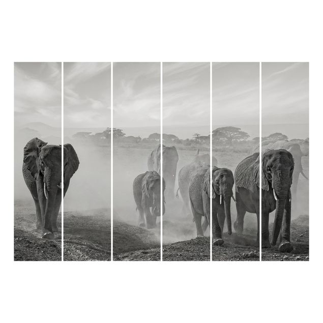 Panneaux japonais Troupeau d'éléphants