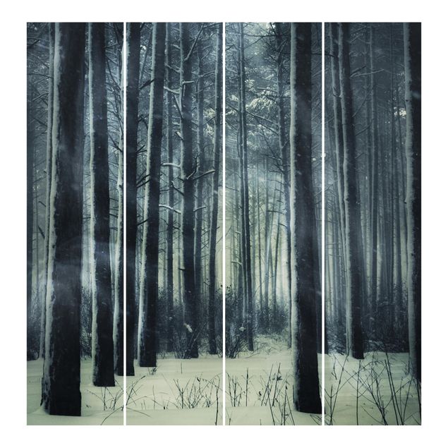 Panneaux japonais Forêt mystique d'hiver