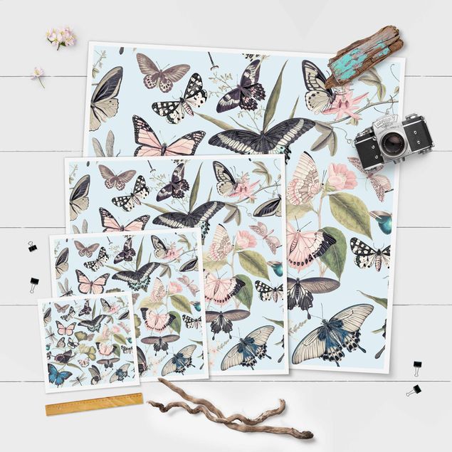 Tableaux muraux Collage Vintage - Papillons et Libellules