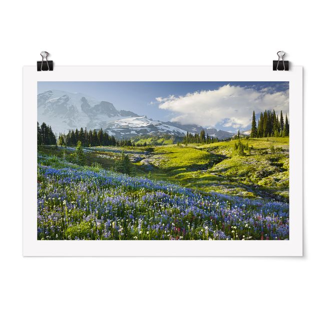Tableau montagne Mountain Meadow With Blue Flowers in Front of Mt. Rainier