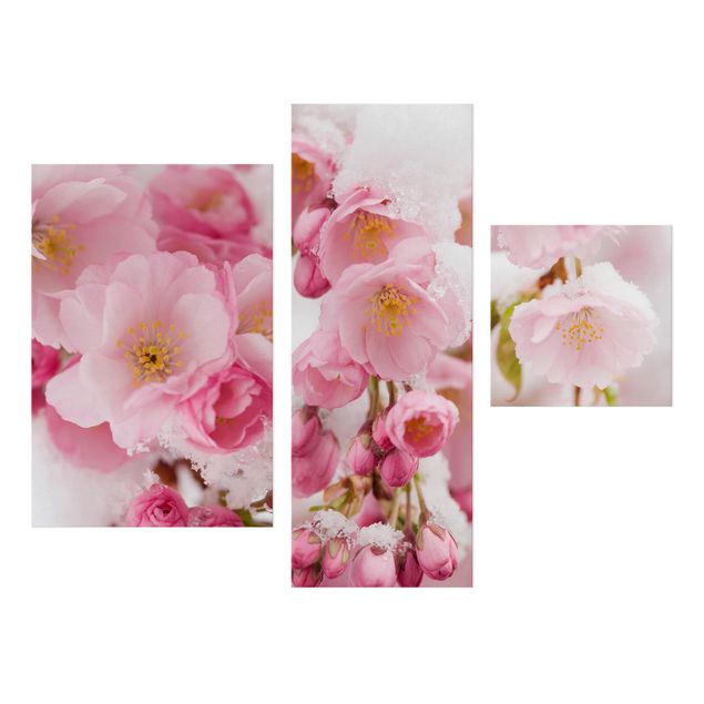 Tableau fleurs Fleurs de cerisier couvertes de neige