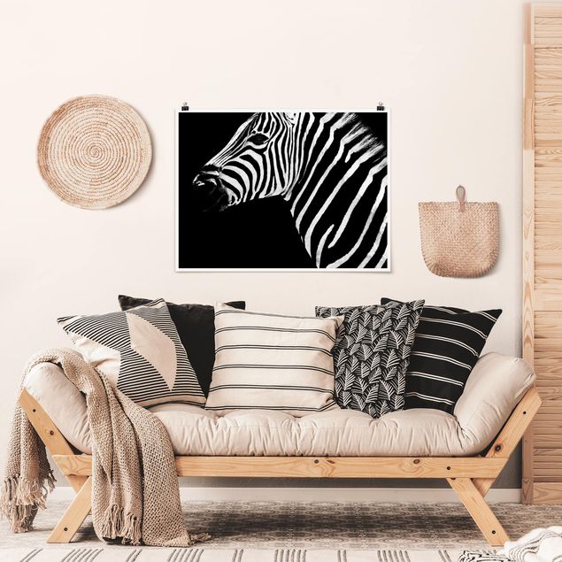 Posters en noir et blanc Zebra Safari Art