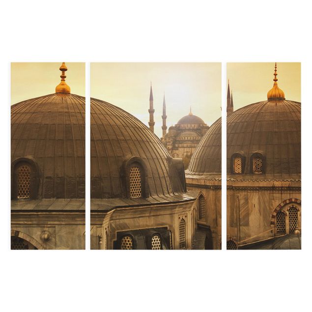 Tableaux Sur les toits d'Istanbul