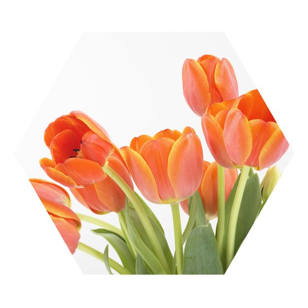 Forex tableau No.191 Tulipes