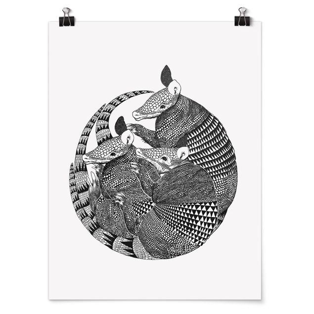 Cadre animaux Illustration Armadillos Motif Noir et Blanc