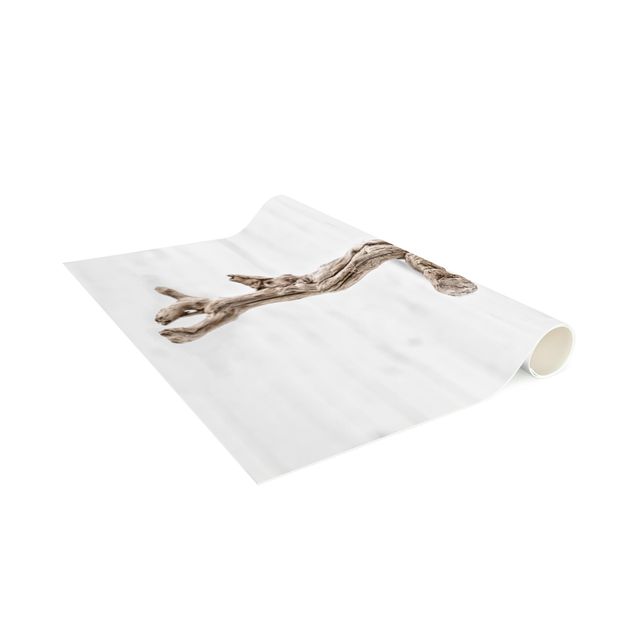 tapis modernes coquille d'escargot blanche et bois de racine