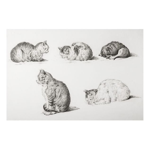 Tableau chats Vintage Drawing Cat I