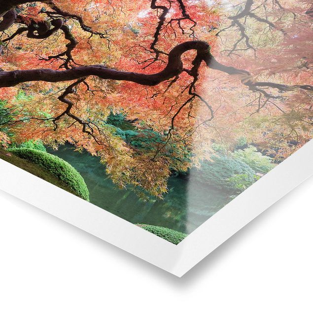Poster paysage Jardin japonais