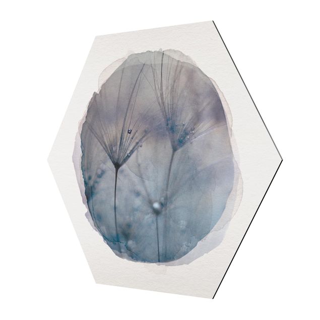 Tableaux Aquarelles - Plumes bleues sous la pluie