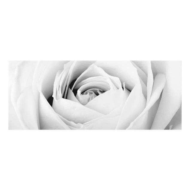 Fond de hotte - Close Up Rose