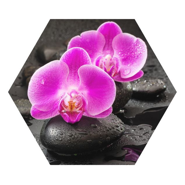 Tableau zen Fleur Orchidée Rose sur Pierres avec Gouttes