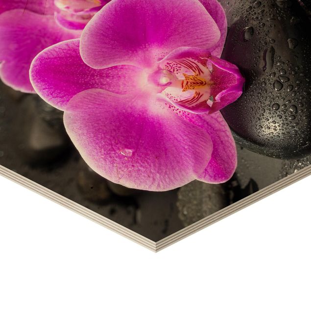 Tableaux bois Fleur Orchidée Rose sur Pierres avec Gouttes