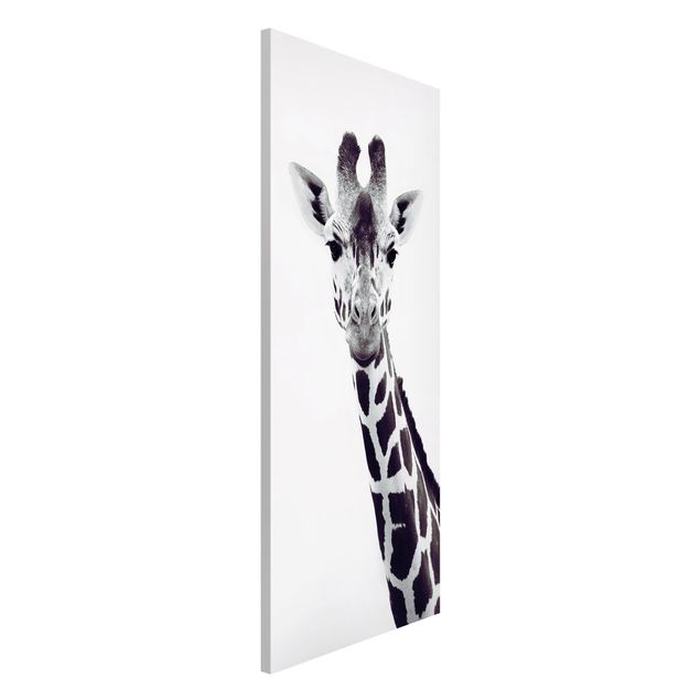 Déco mur cuisine Portrait de girafe en noir et blanc