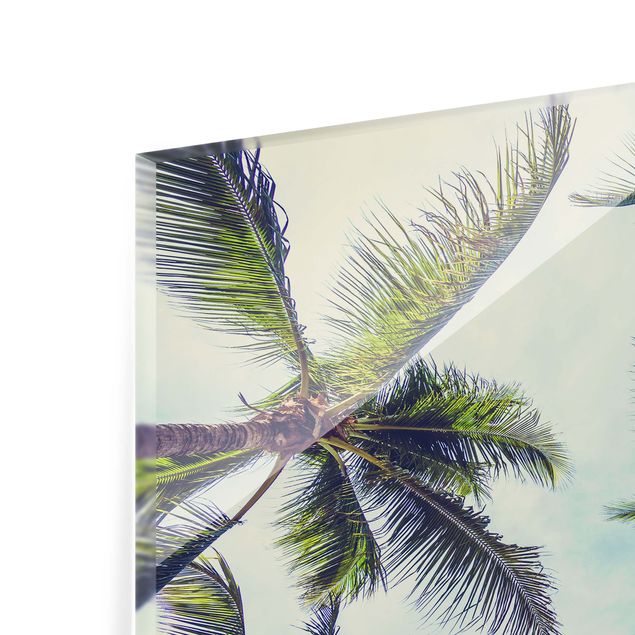 Fonds de hotte - The Palm Trees - Format paysage 3:2