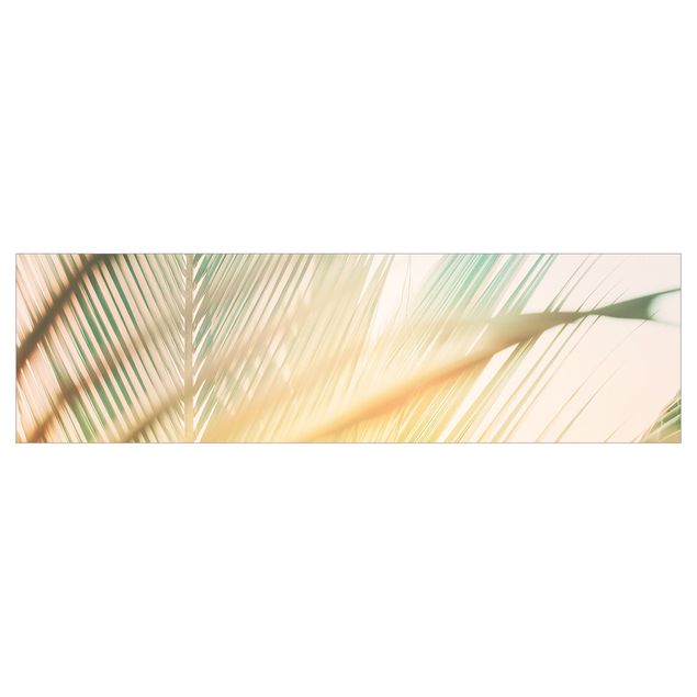 Revêtement mural cuisine - Tropical Plants Palm Trees At Sunset II