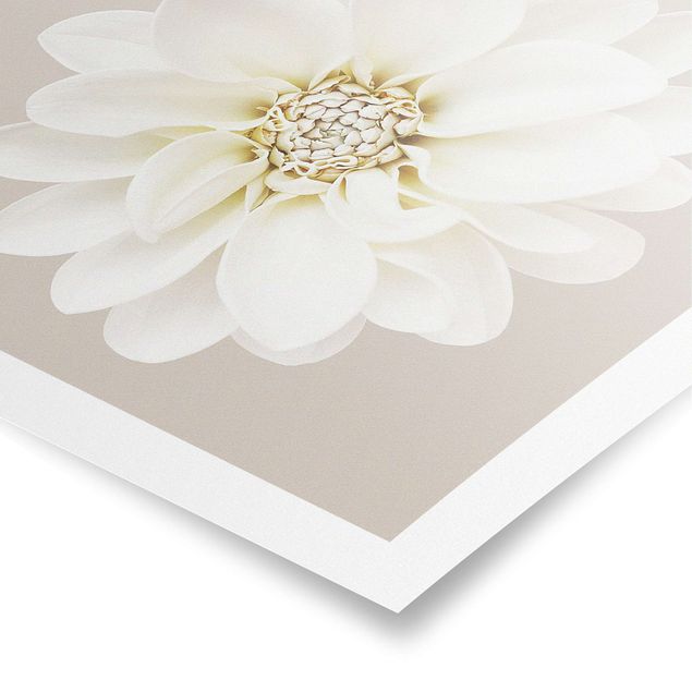 Tableau décoration Dahlia Blanc Taupe Pastel Centré