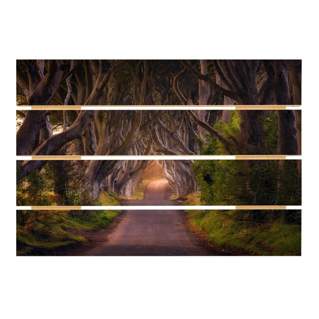Impression sur bois Tunnel d'arbres