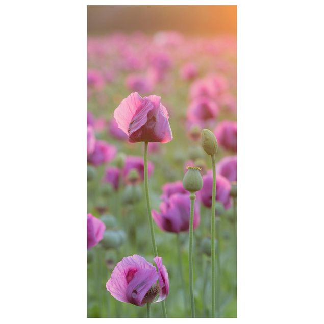 Panneau de séparation - Purple Poppy Flower Meadow In Spring