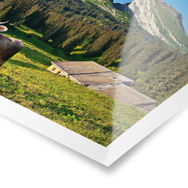 Tableaux modernes Prairie alpine suisse avec vache
