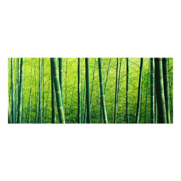 Fond de hotte - Bamboo Forest