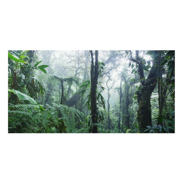 Fond de hotte - Monteverde Cloud Forest - Format paysage 2:1