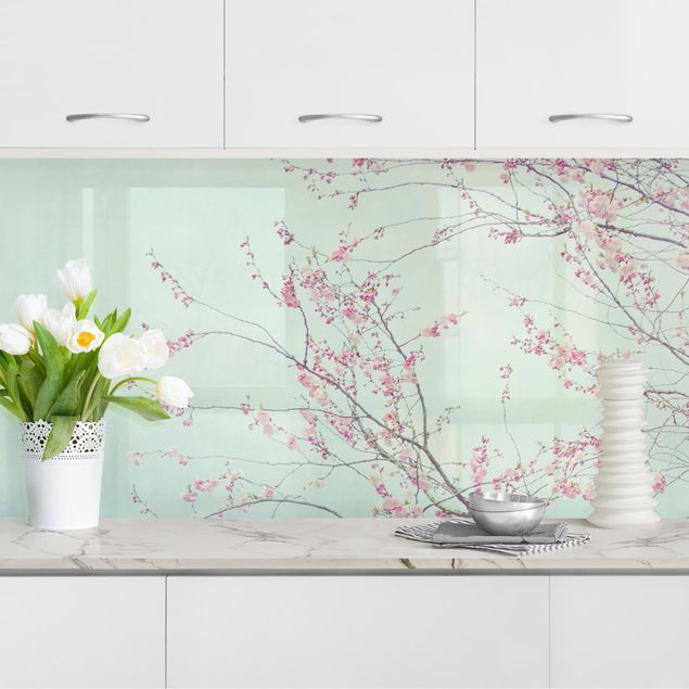 Déco mur cuisine Aspiration d'une fleur de cerisier