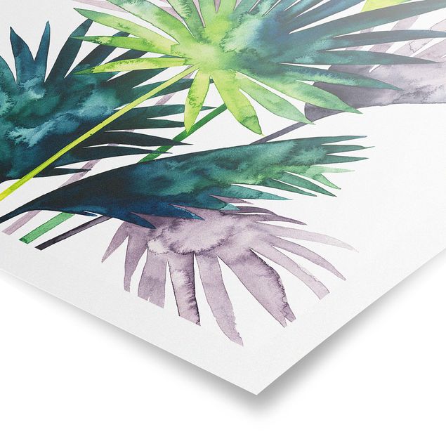 Tableaux verts Feuillage exotique - Fan Palm