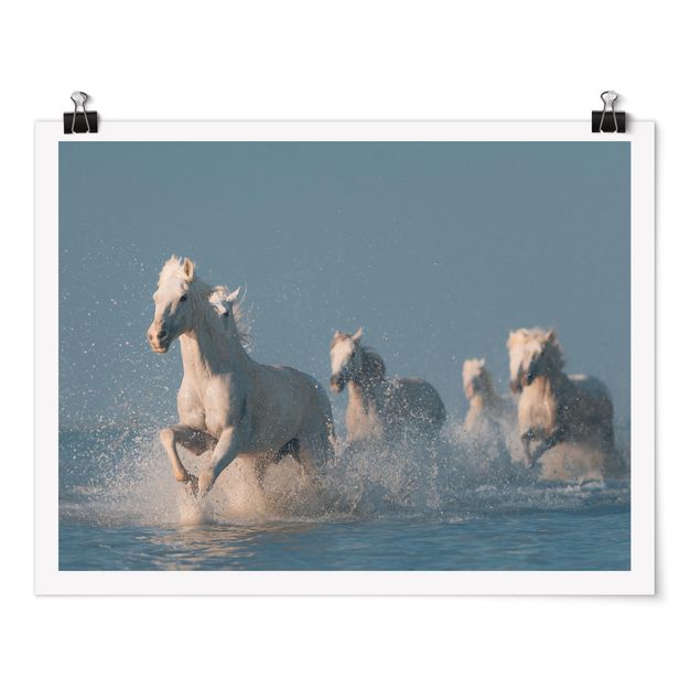 Tableau animaux Troupeau de chevaux blancs