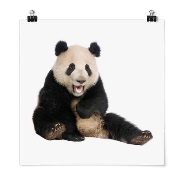 Tableau moderne Laughing Panda