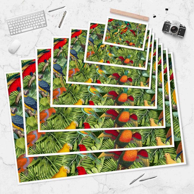 Tableaux muraux Collage coloré - Perroquets dans la jungle