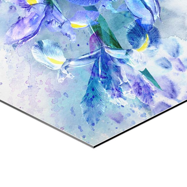 Hexagone en alu Dibond - Watercolour Flowers Iris