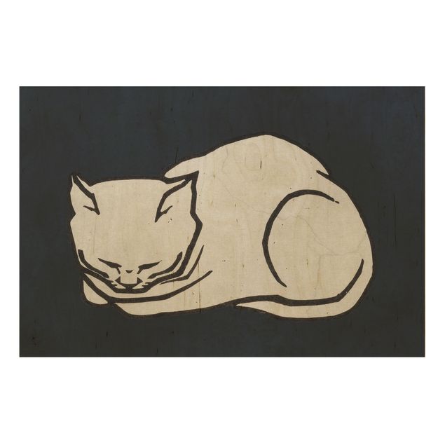 Tableaux muraux Illustration d'un chat endormi