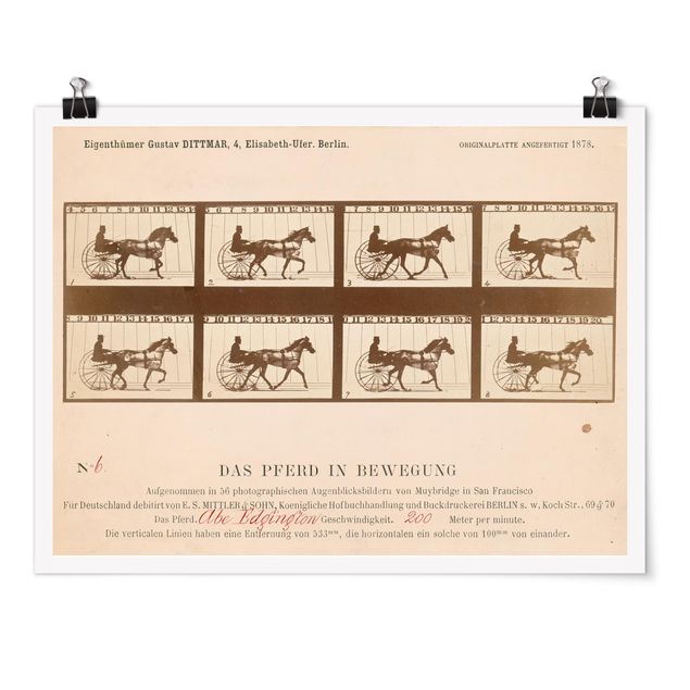 Tableaux modernes Eadweard Muybridge - Le cheval en mouvement