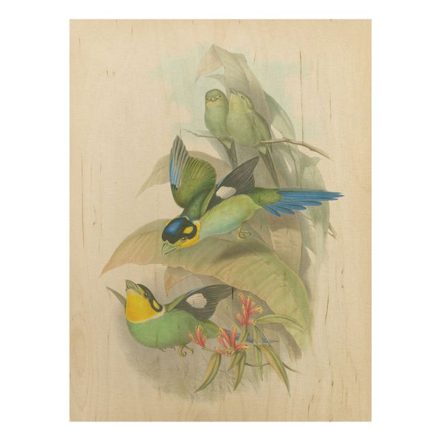 Tableaux en bois avec fleurs Illustration Vintage Oiseaux Tropicaux