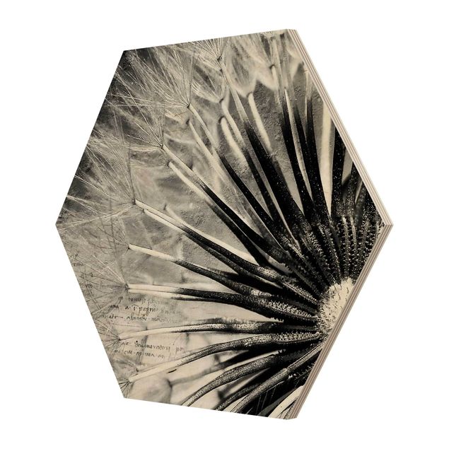 Hexagone en bois - Dandelion Black & White