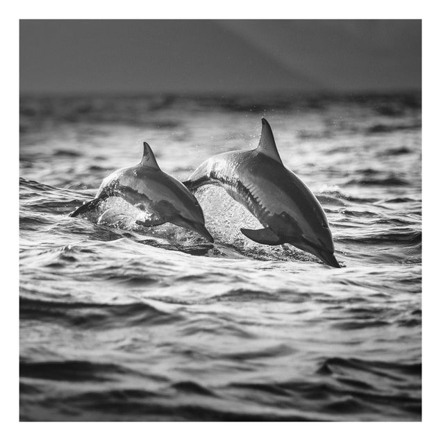 Tableau poissons Deux dauphins qui sautent