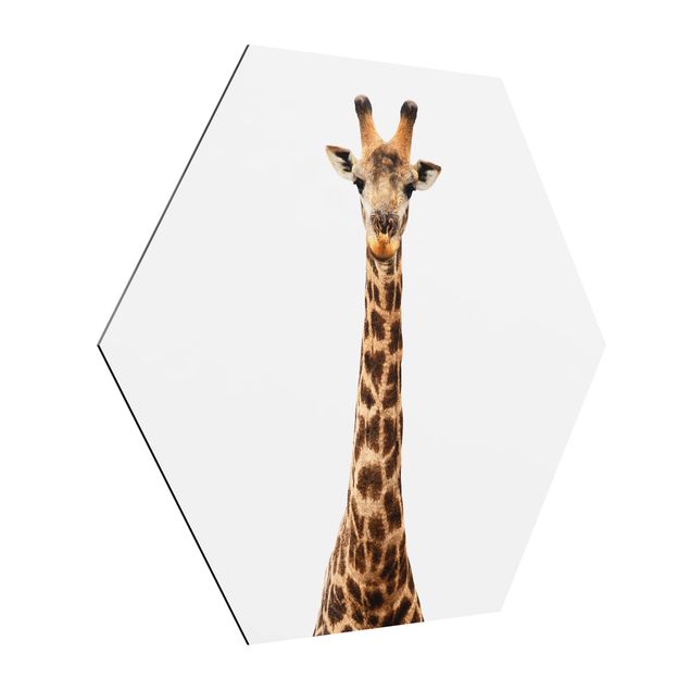 Tableaux animaux Tête de girafe