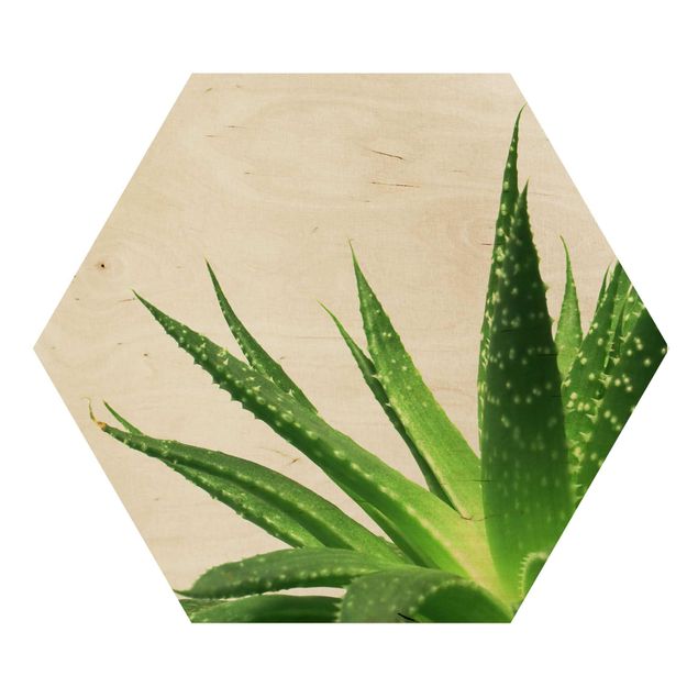 Hexagone en bois - Aloe Vera