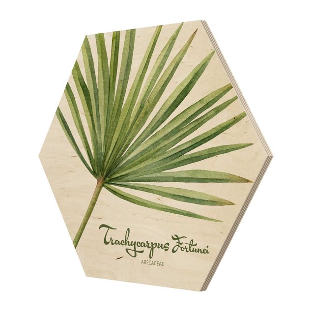 Hexagone en bois - Watercolour Botany Trachycarpus Fortunei