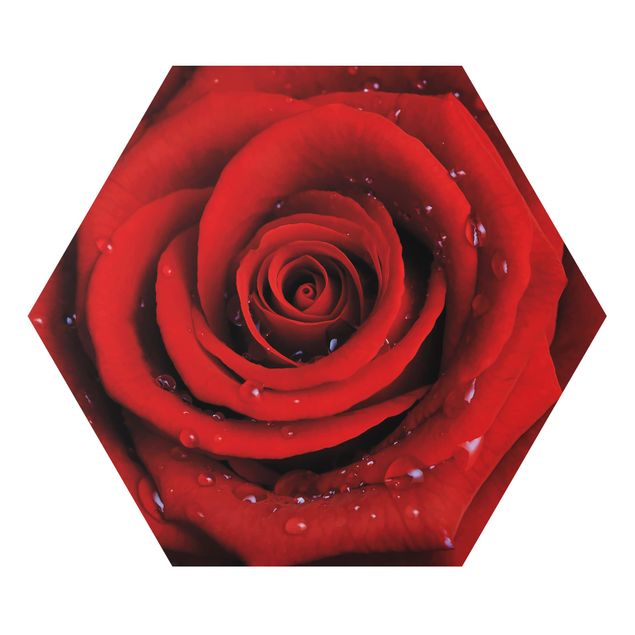 Tableaux rouges Rose rouge avec gouttes d'eau