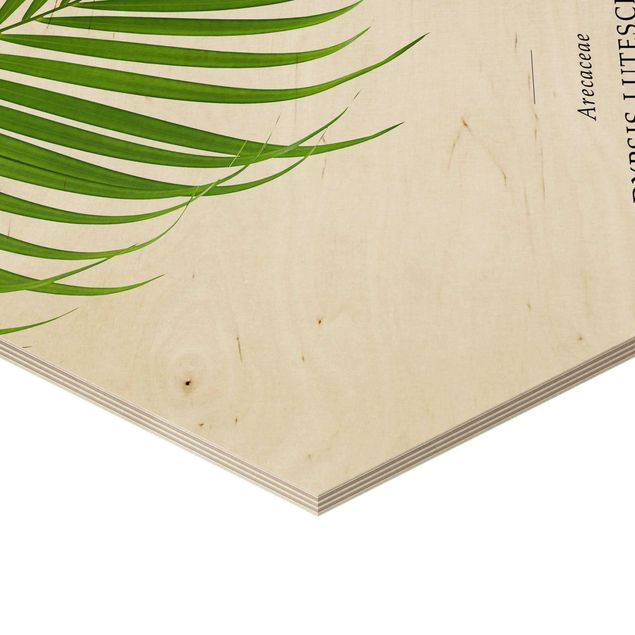 Hexagone en bois - Tropical Leaf Areca Palm