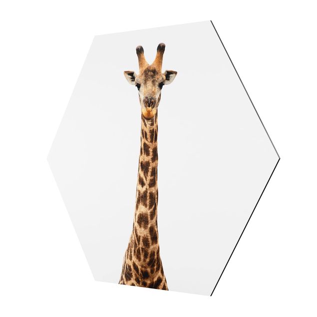 Tableau hexagonal Tête de girafe