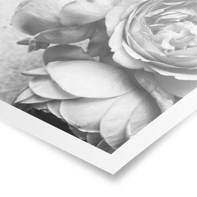 Tableaux noir et blanc Fleurs de Pivoine Noir et Blanc