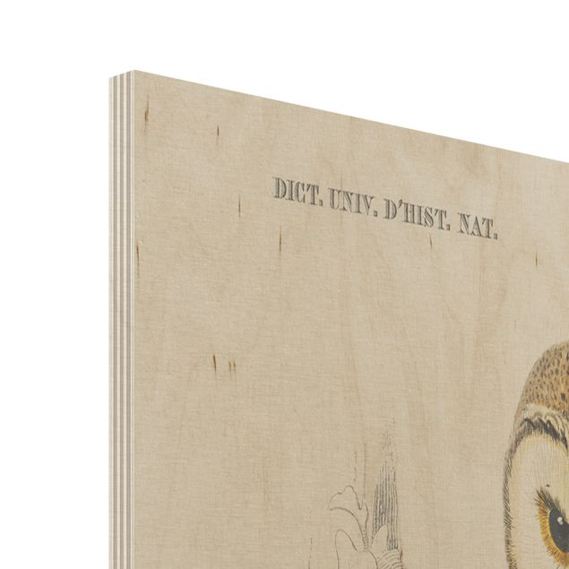 Impression sur bois - Vintage Board Owl And Swallow