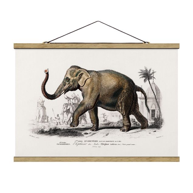 Tableau animaux Tableau Vintage Éléphant