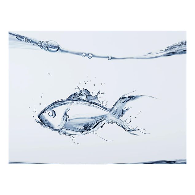 Fond de hotte - Liquid Silver Fish