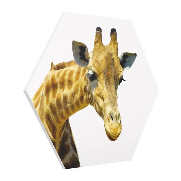 Tableaux animaux No.21 Girafe Piqueuse