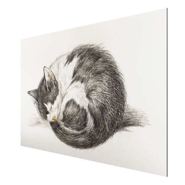 Tableaux animaux Vintage Drawing Cat II