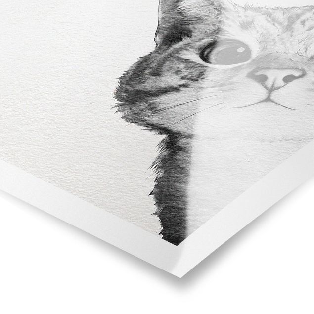 Cadre animaux Illustration Chat Dessin Noir Et Blanc